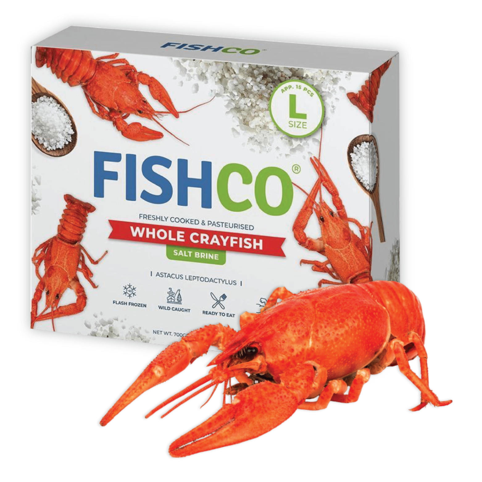 FISHCO whole crayfish retail box, salt brine, large.