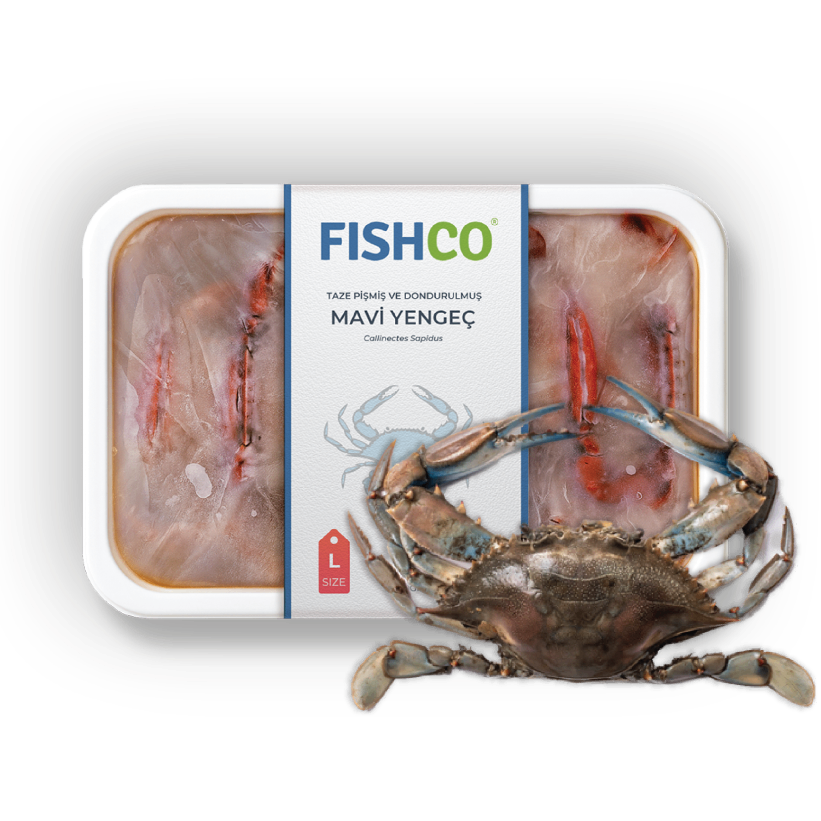 Blue Crab