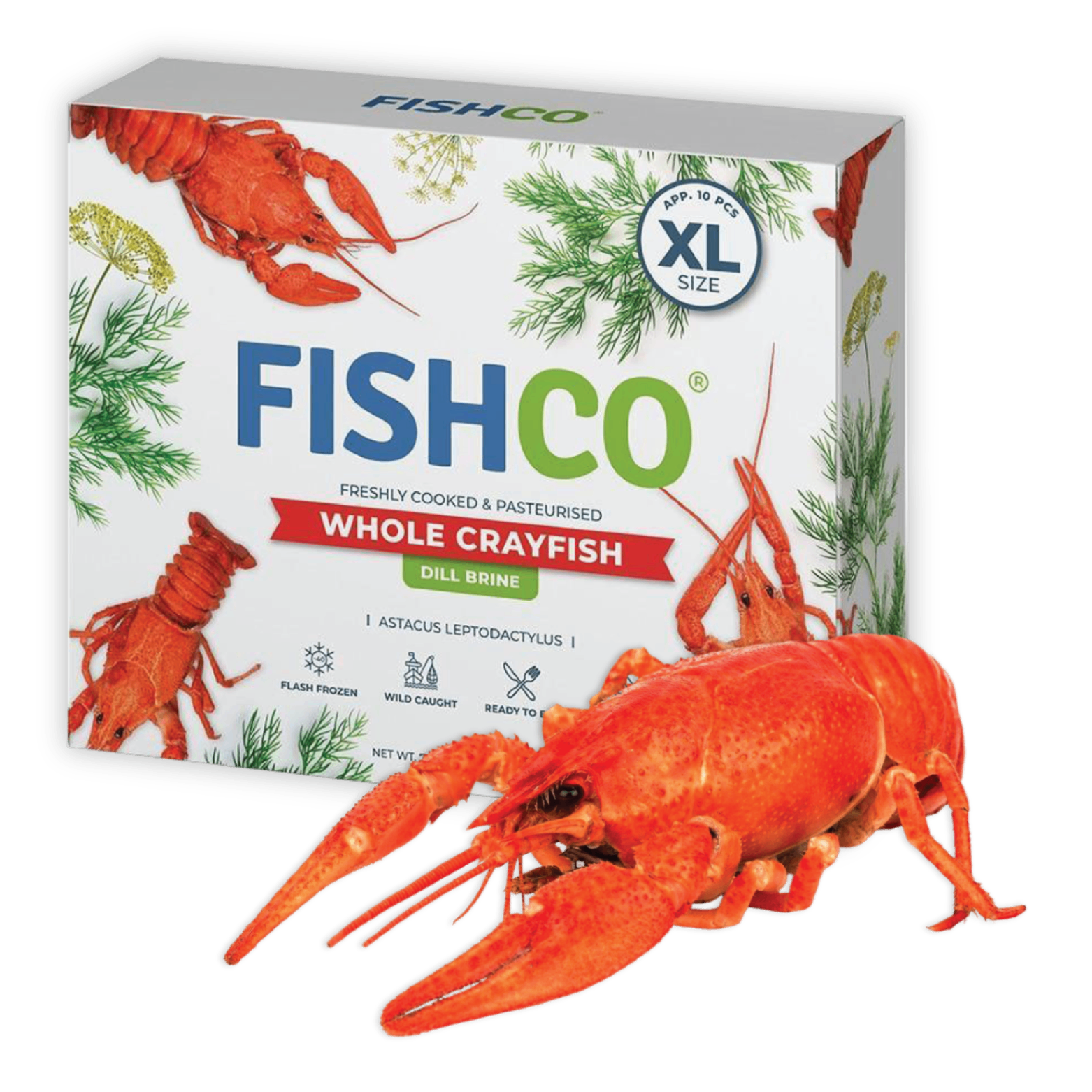 FISHCO whole crayfish retail box, dill brine, extra large.