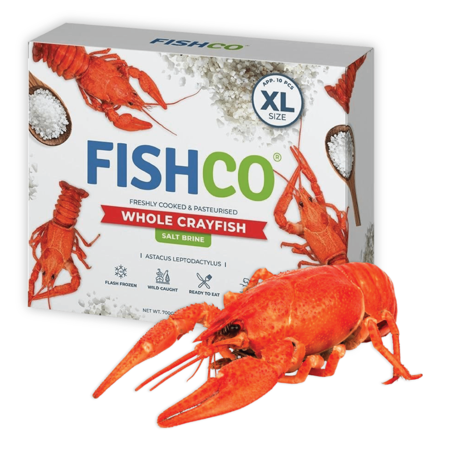 FISHCO whole crayfish retail box, salt brine, extra large.